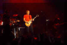 Knopfler01.JPG (22258 byte)